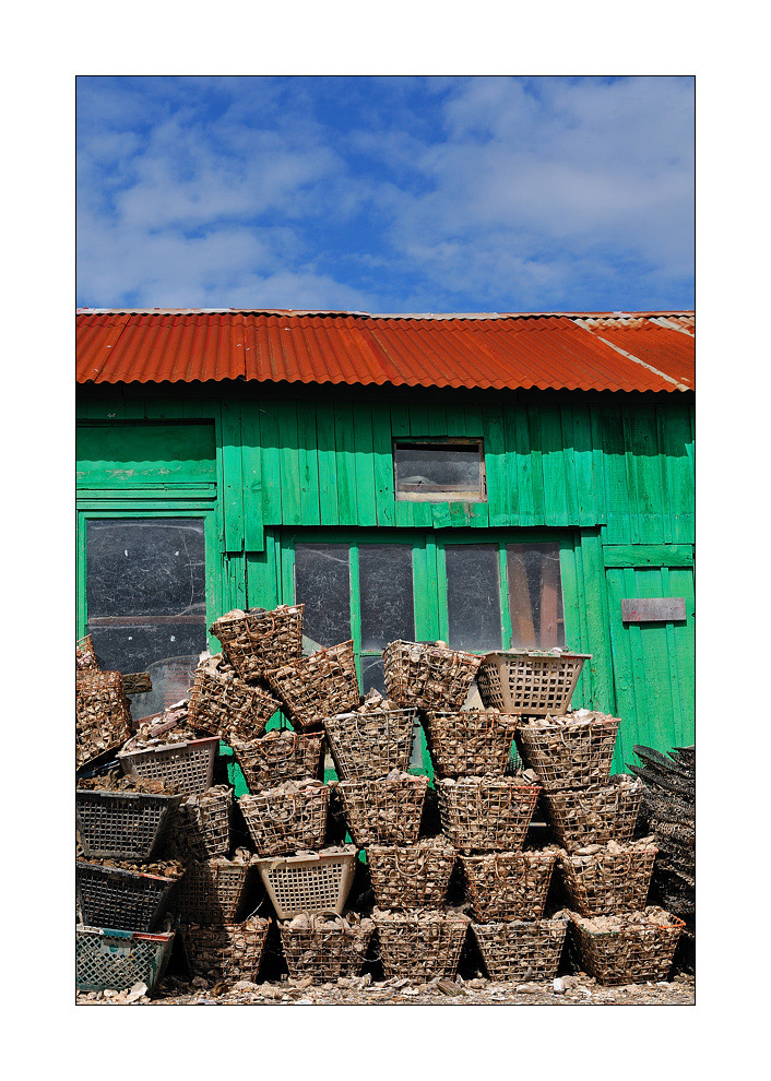 huitres &amp; moules X