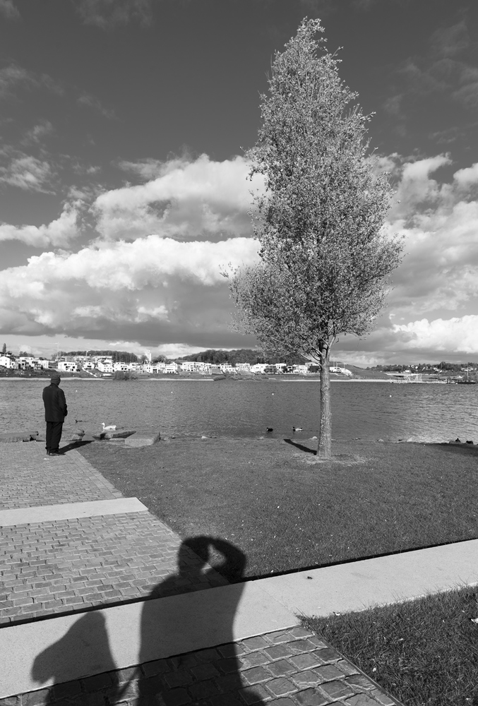 hund und ich