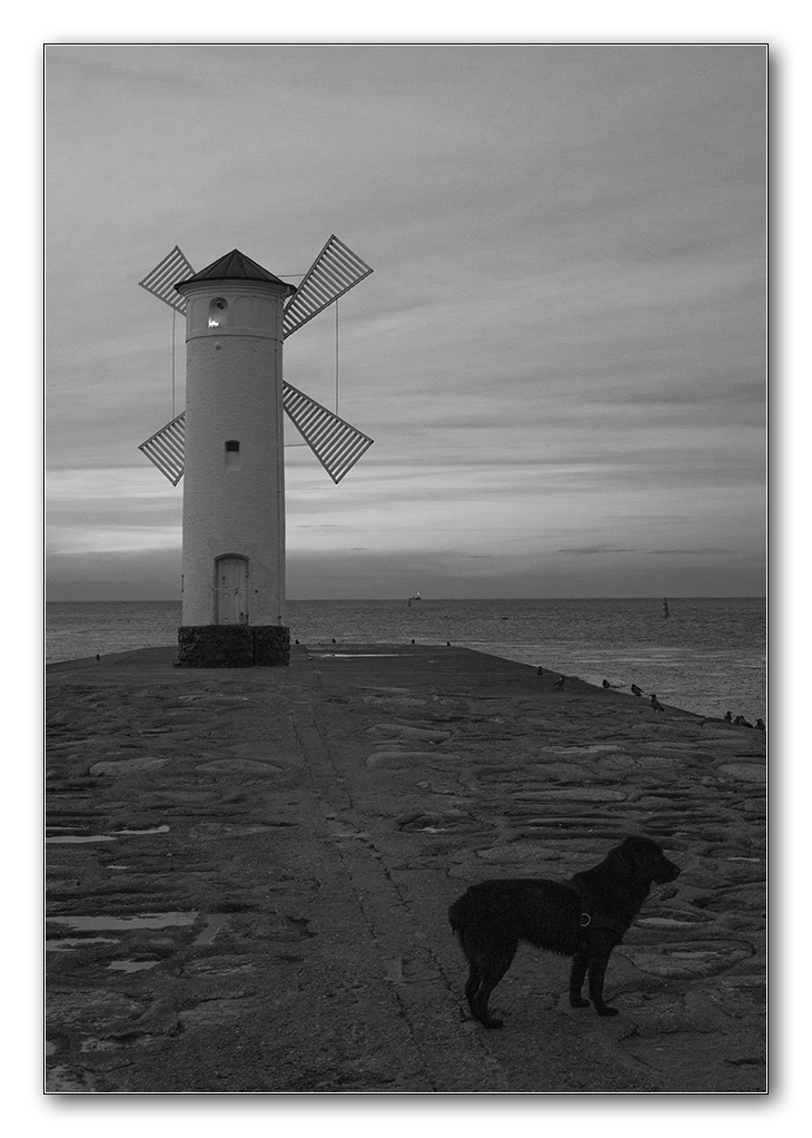 hund und turm