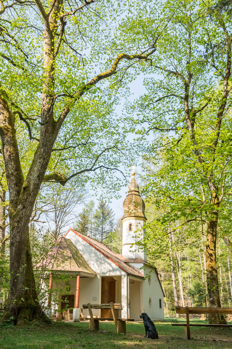 Hund vor Kapelle