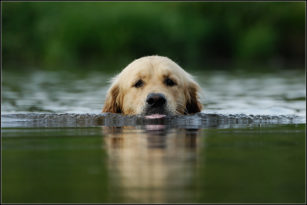hund05