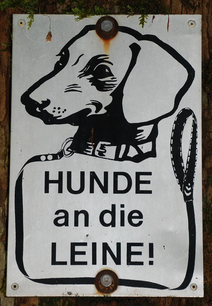 Hunde an die Leine