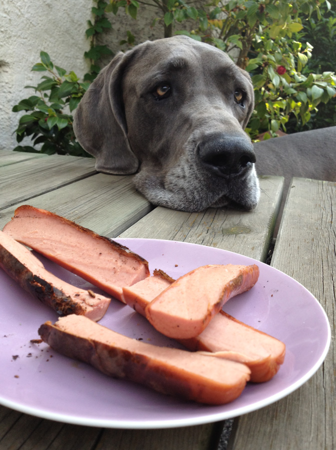 hundegrillen2