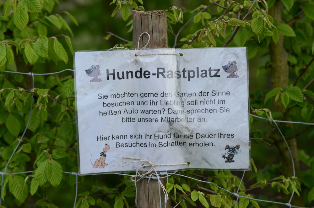 Hunderastplatz