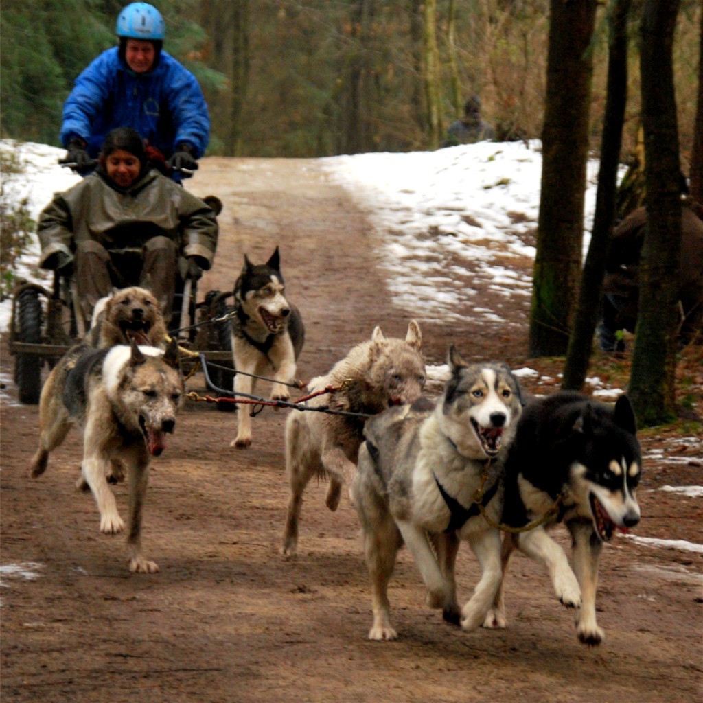 Husky21000