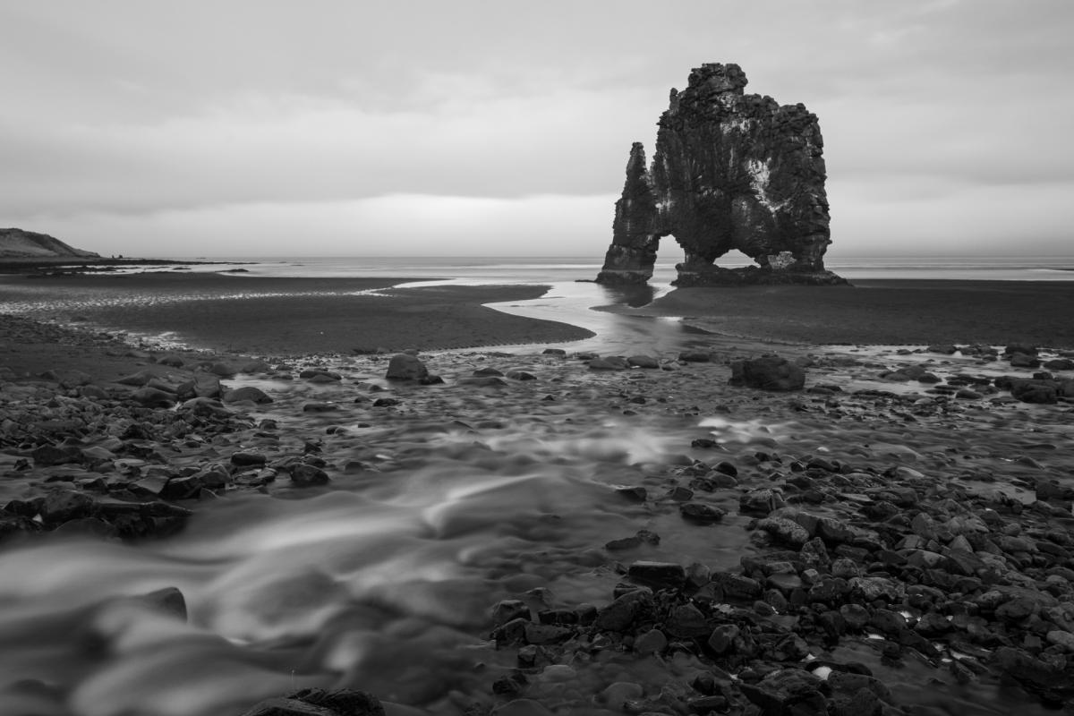 Hvitserkur arch - ein Fossil an der Tränke
