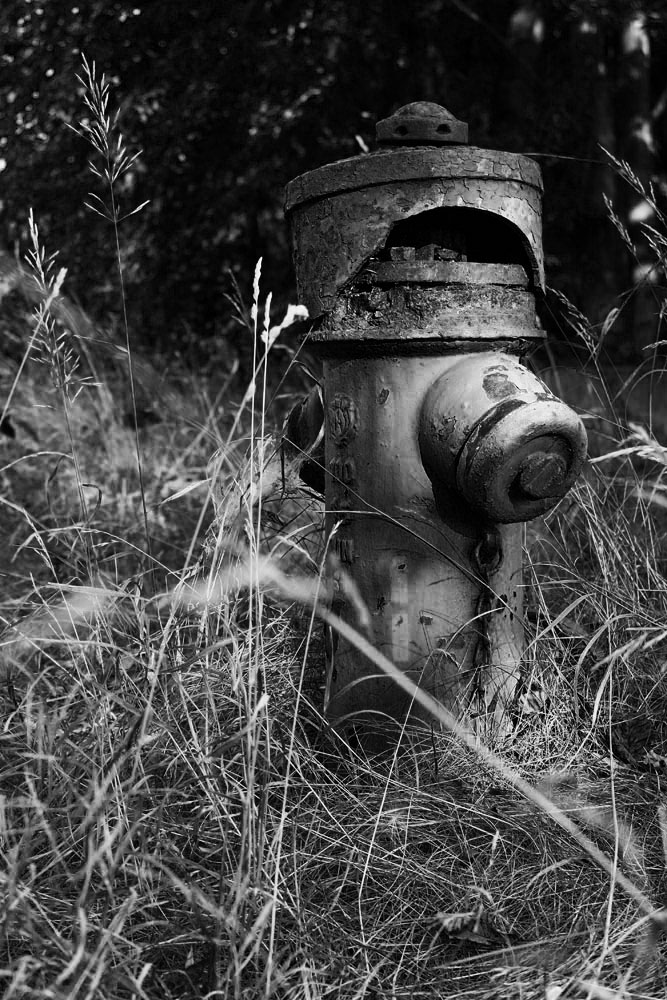Hydrant