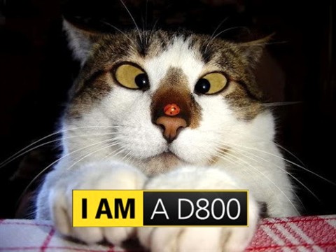 I AM D800