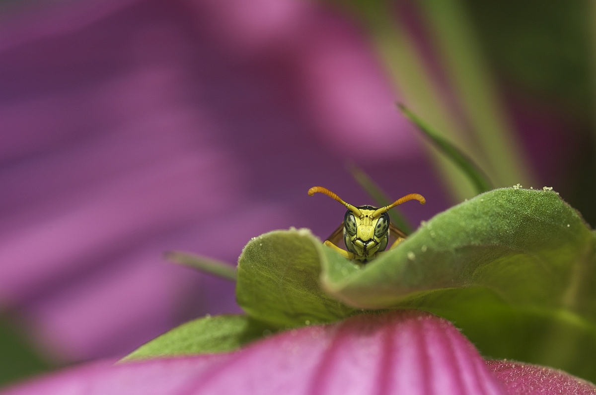 I see you.jpg