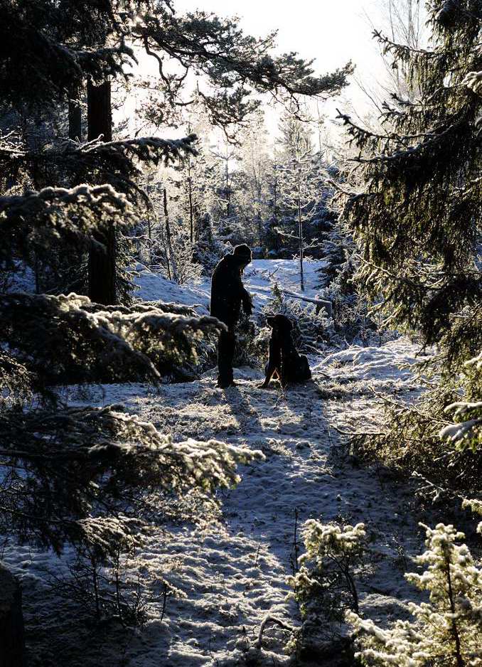 i vinterskogen 1