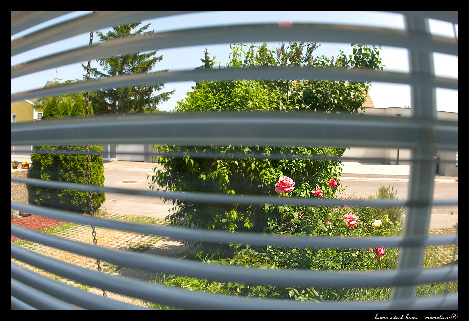 I was staring out the window
The whole time he was talking to me
It was a filthy pane of glass
I couldn't get a clear view
s DSC 0003