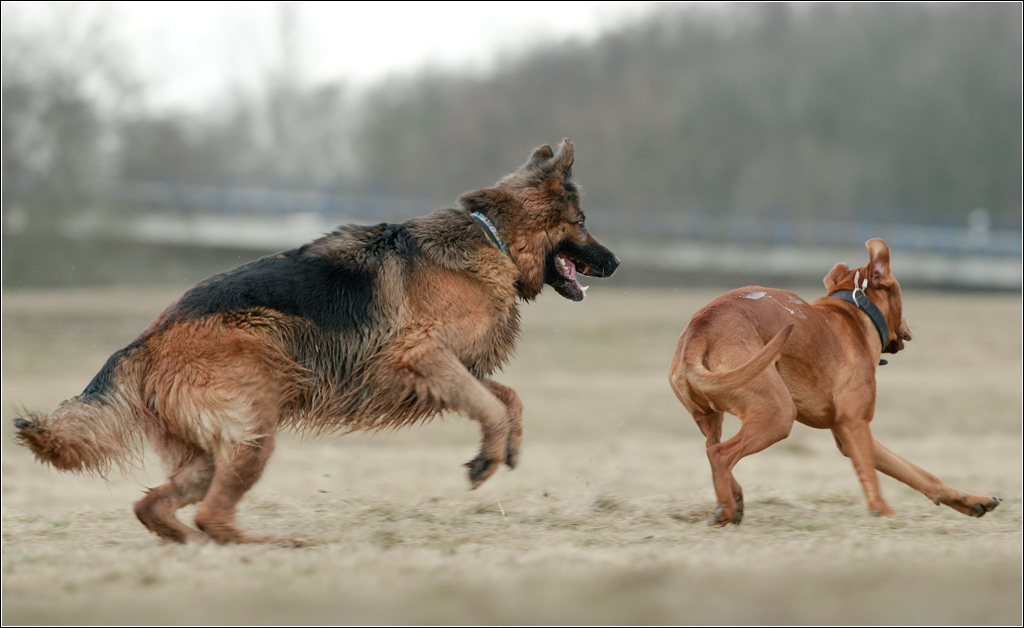 ich mach Dich nass