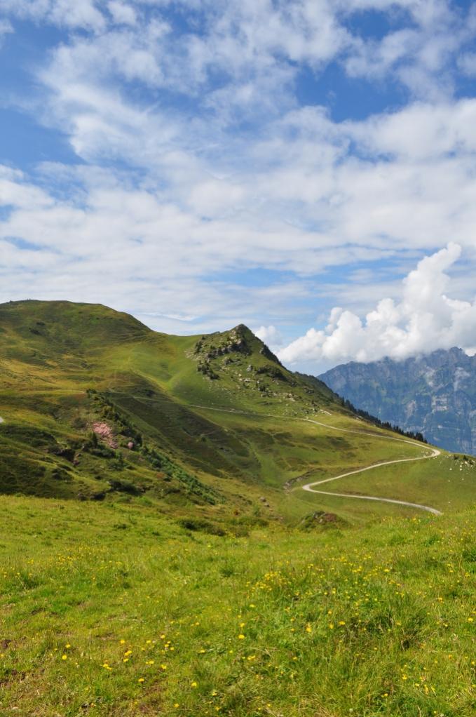 Ich muss auch an diesem Bild leider die Qualität nach dem Hochladen kritisieren. Auf meinem Comquter sieht es anders aus, aber ich hab es eigentlich f