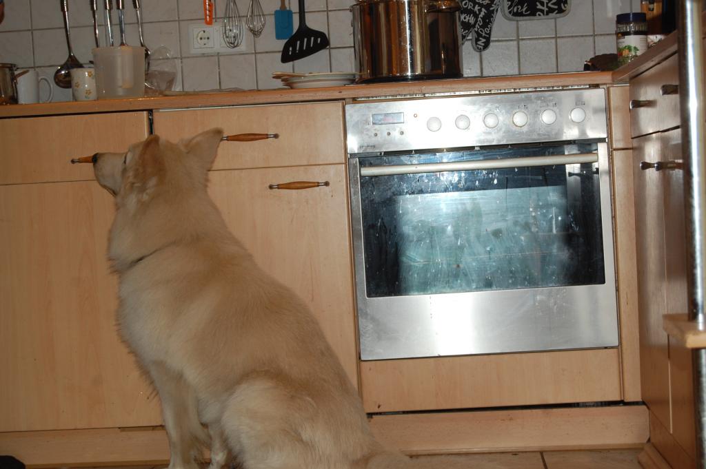 Ich warte...