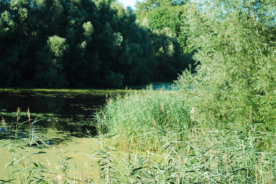 Idyll 2