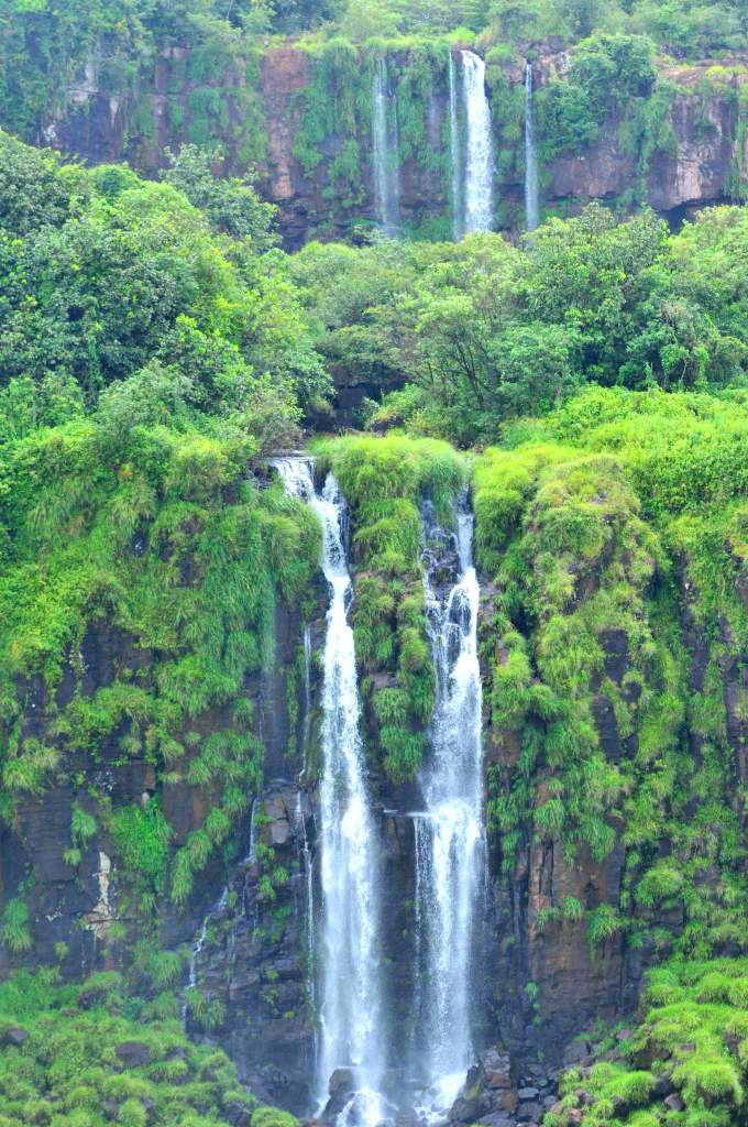 Iguassu DSC 2371