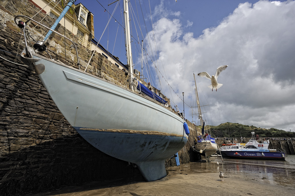 Ilfracombe (Devon)