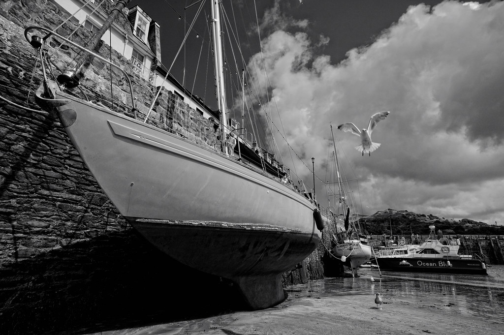 Ilfracombe (Devon)
