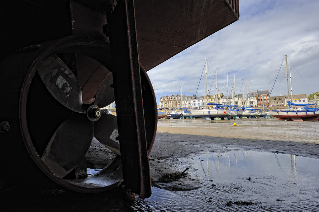 Ilfracombe (Devon)