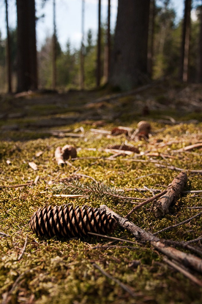 Ilkahöhe