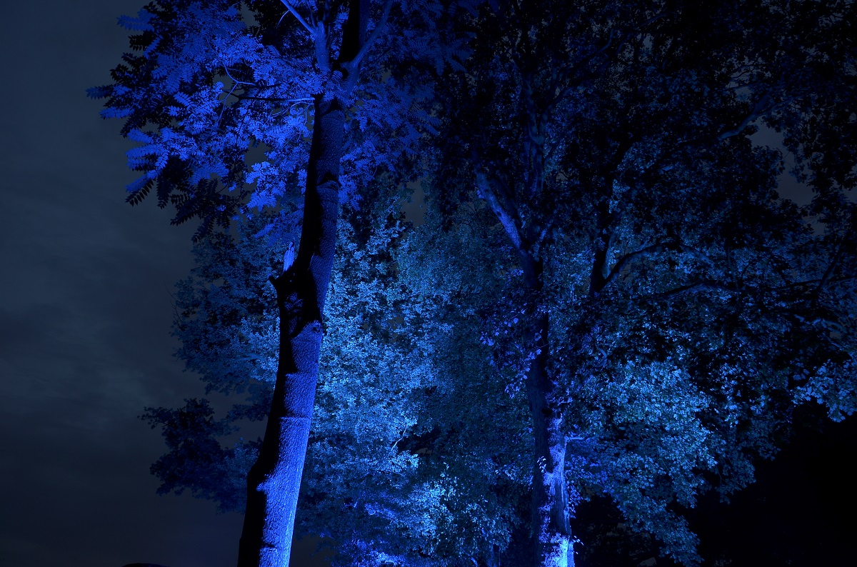 Illumina 2016