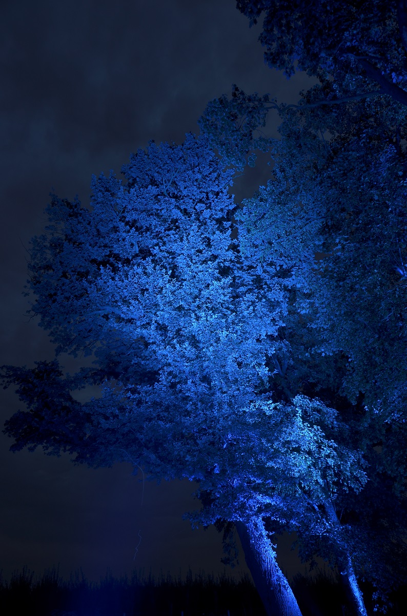 Illumina 2016
