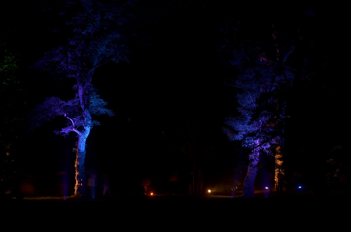 Illumina 2016