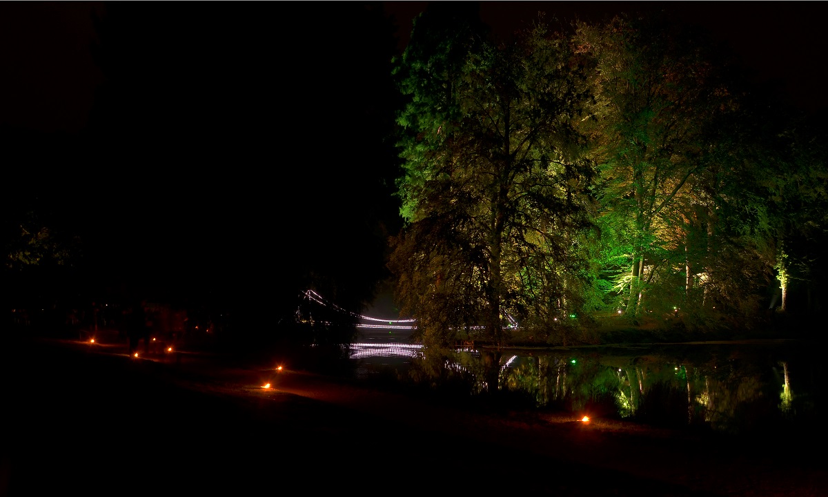 Illumina 2016