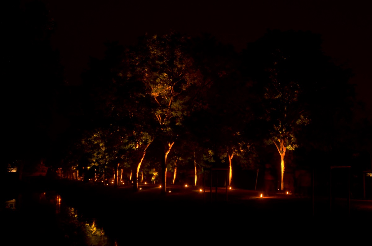 Illumina 2016