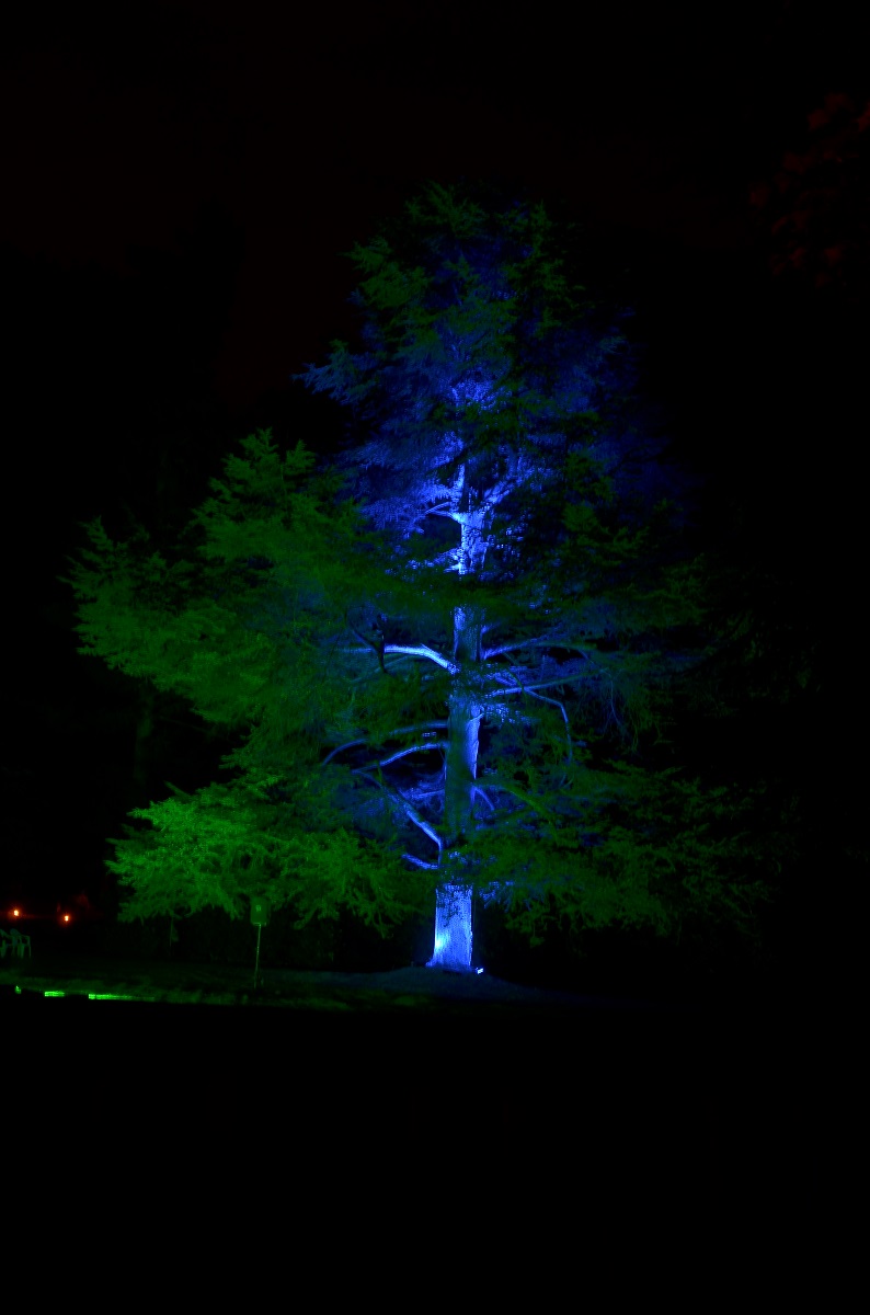 Illumina 2016