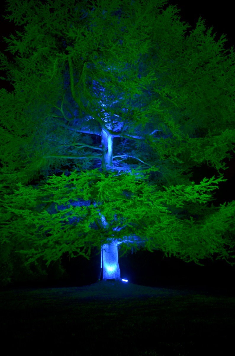 Illumina 2016