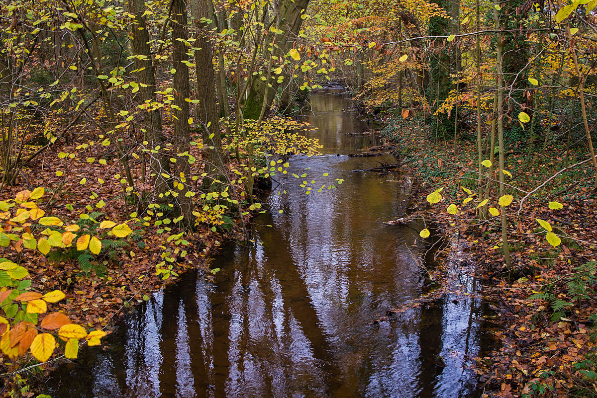 Ilmenau 2