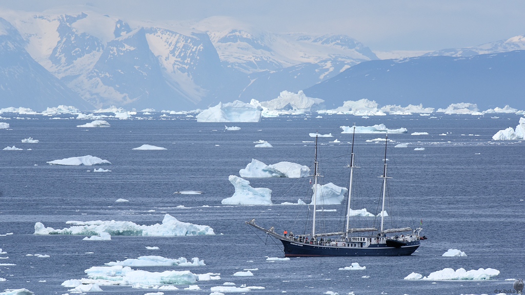Ilulissat Rembrandt 5594