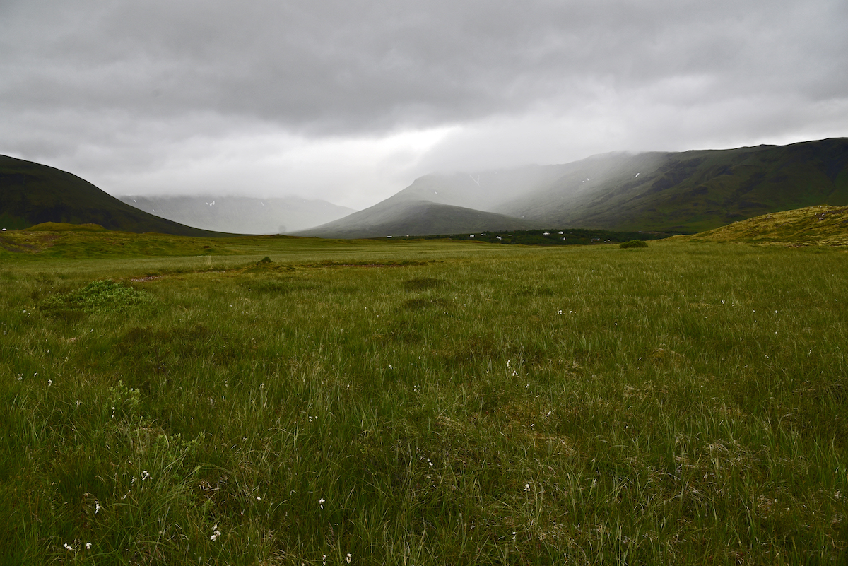 Im Þingvellir-Nationalpark --- DSC_6407FK Kopie.jpg