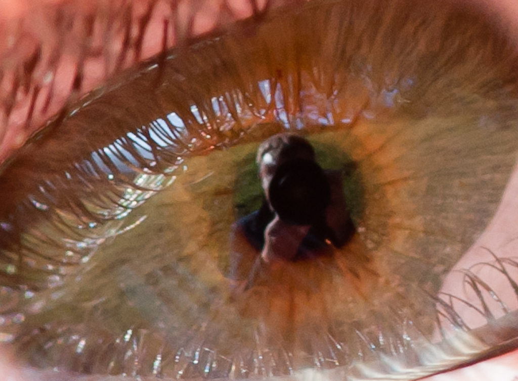 Im Auge des Betrachters