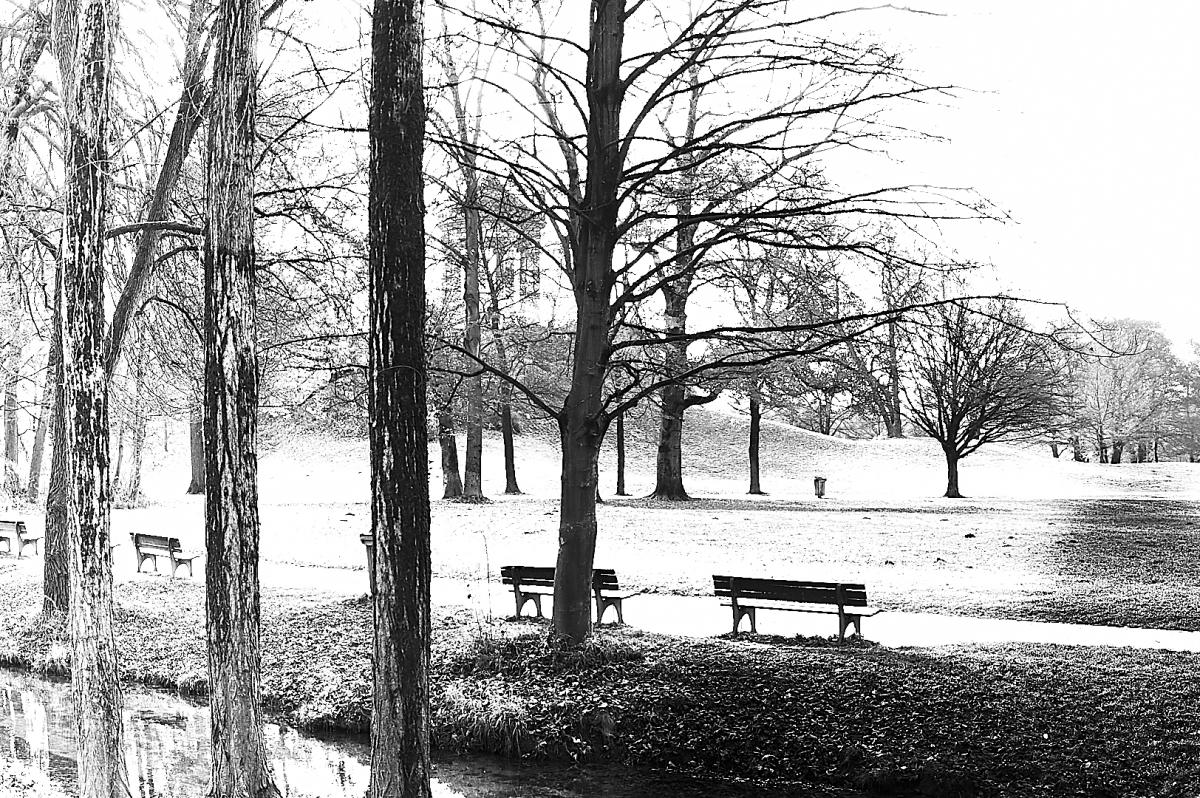 Im Englische´n Garten 02