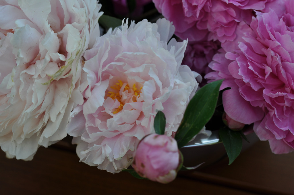 Im Garten 007