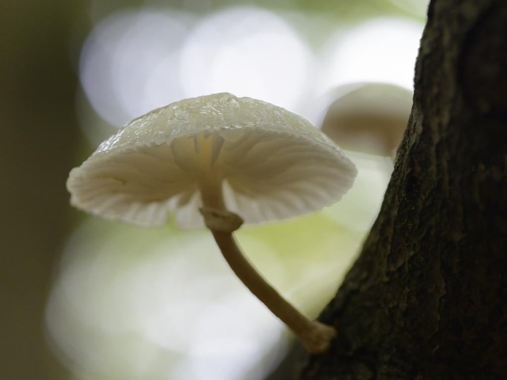 im Gegenlicht
