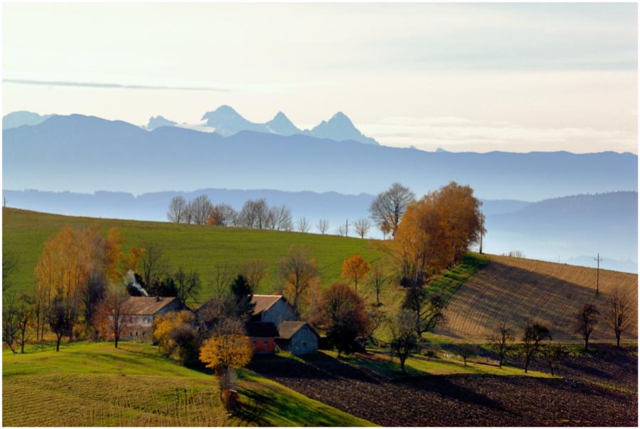 im Hintergrund der Dachstein