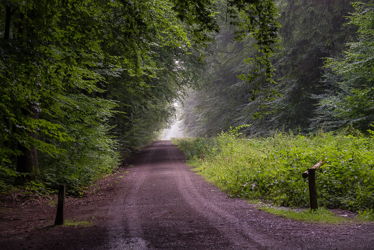 Im Lüßwald 1 (1 von 1).JPG