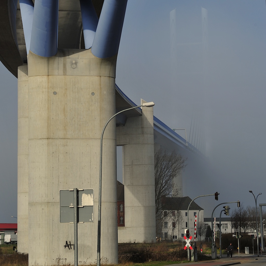 im Nebel