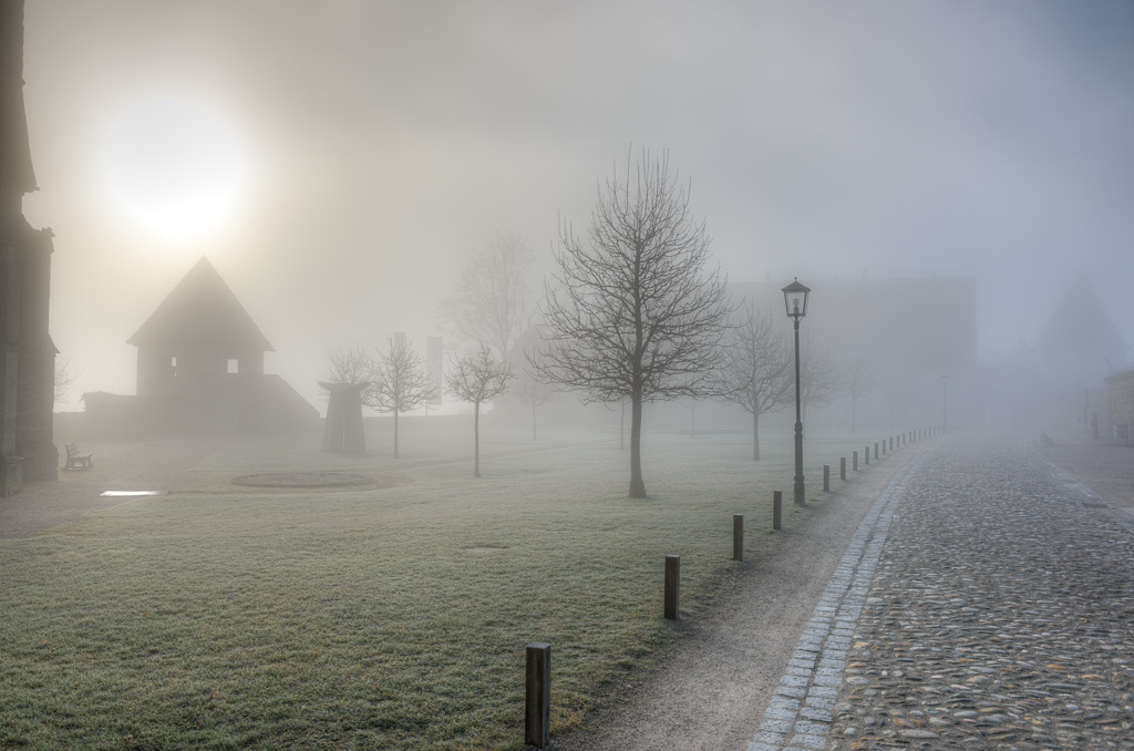 im Nebel