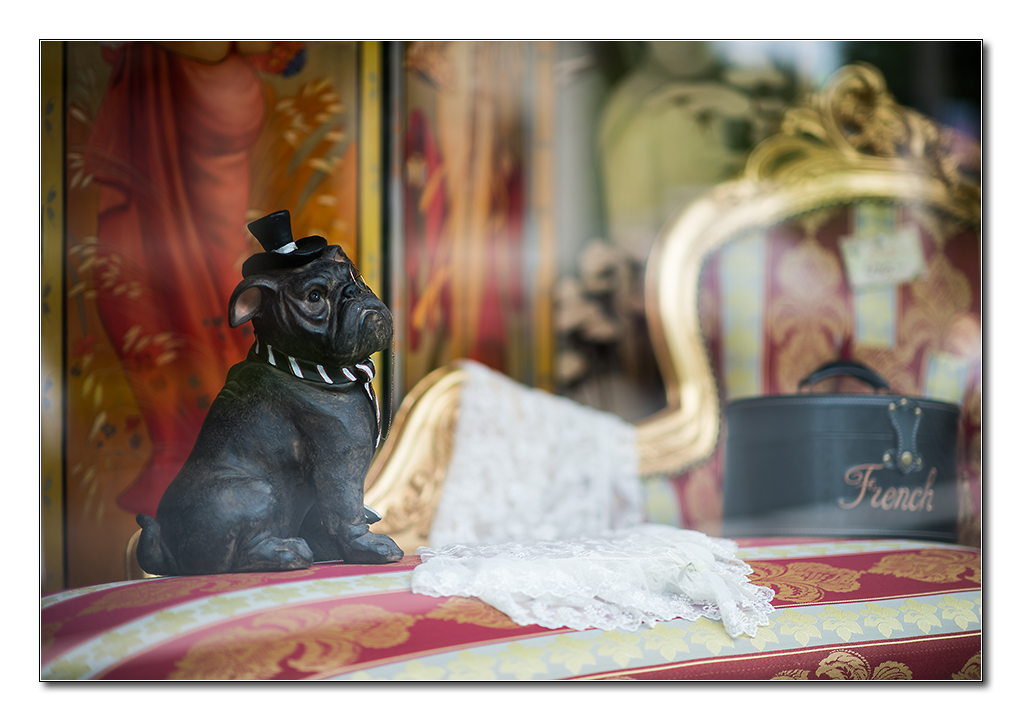 im schaufenster