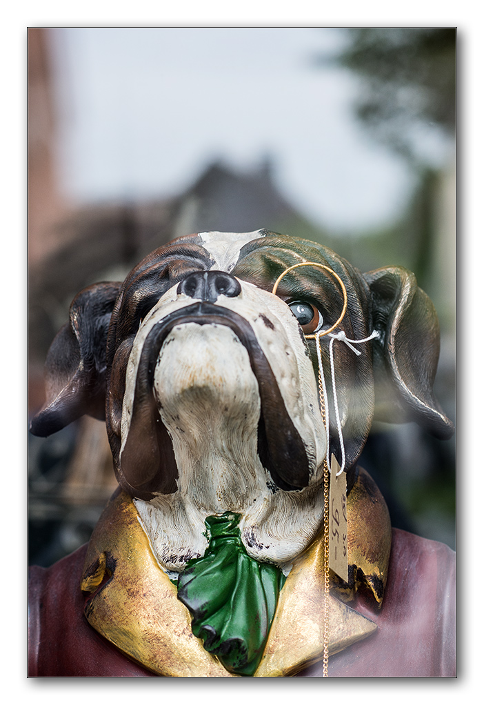 im schaufenster2