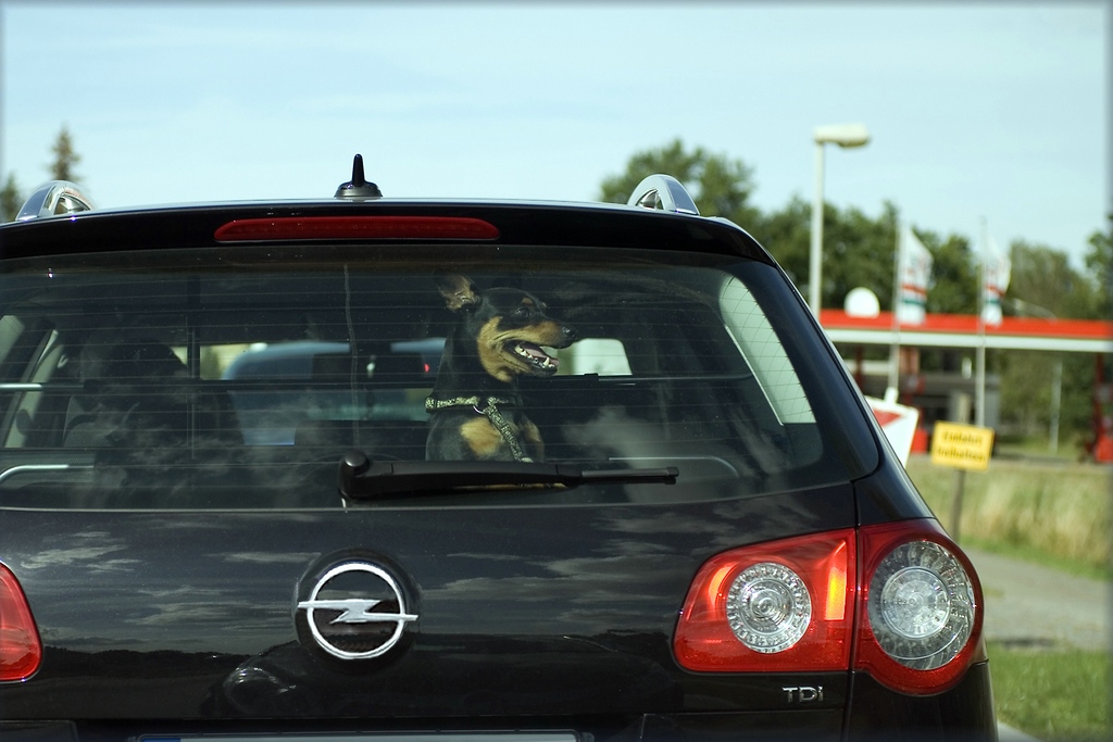 im wagen vor mir...