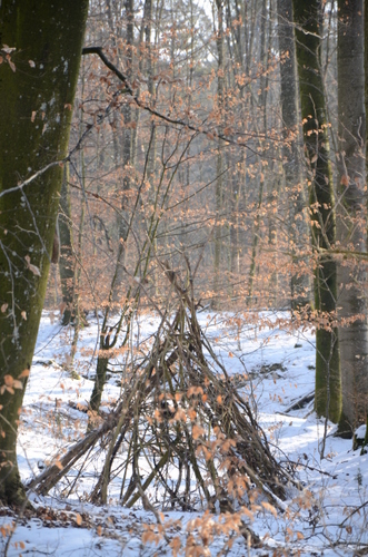 Im Wald gefunden!