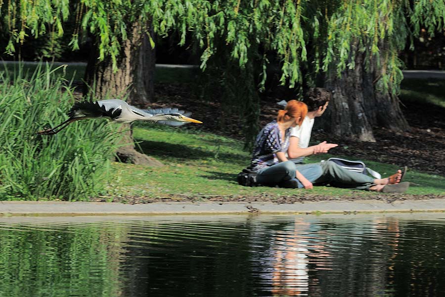 Im Wiener Stadtpark