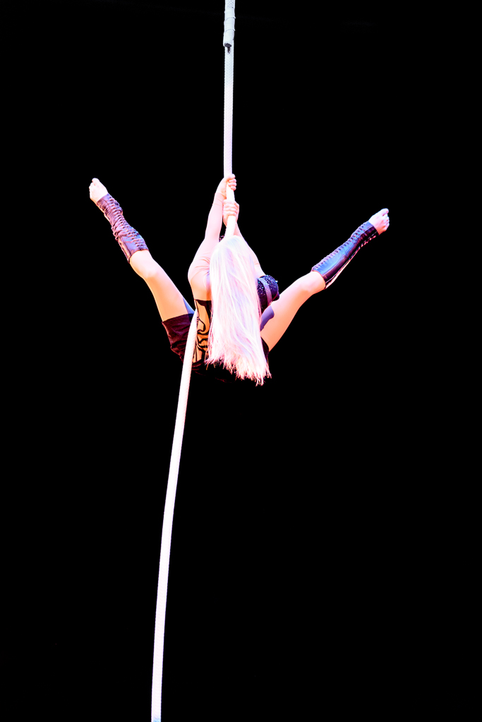 im Zirkus