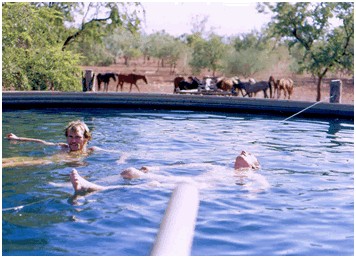 Image00003