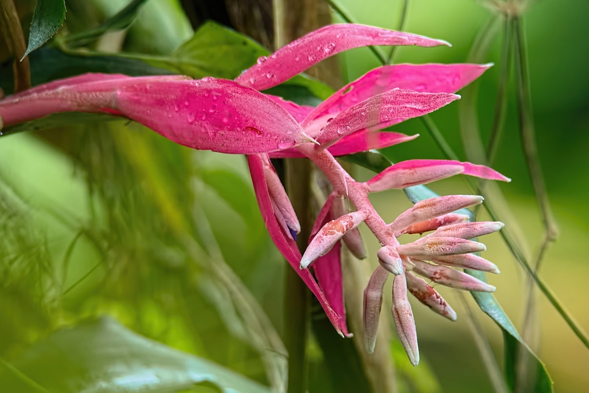 Image00005k